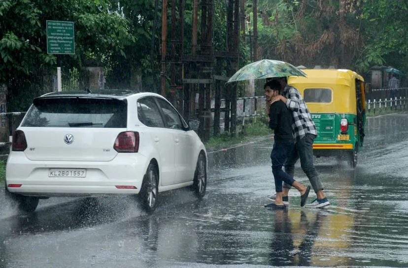 rain