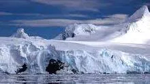 antarctic