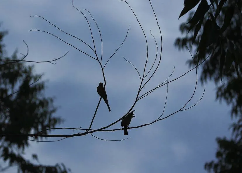 Kerala Kaumudi Photo Gallery