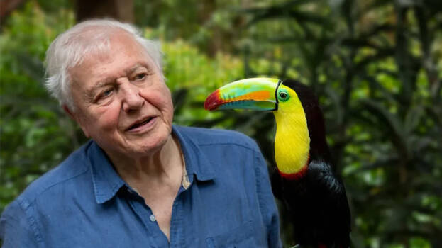 david-attenborough