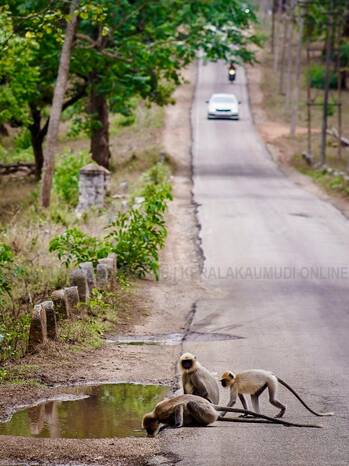 Kerala Kaumudi Photo Gallery