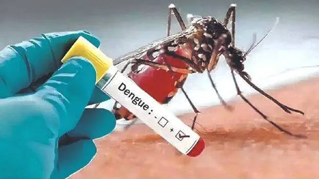 dengue