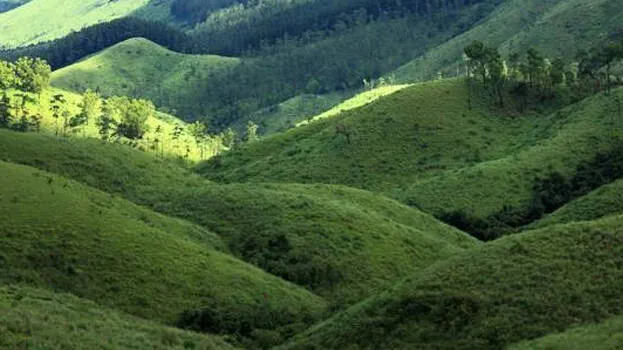 vagamon