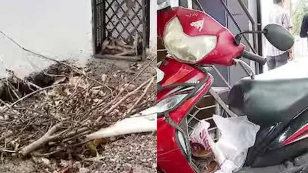 accident
