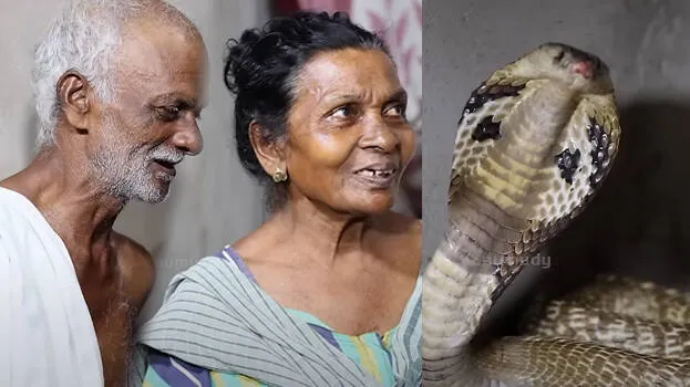 vava-suresh
