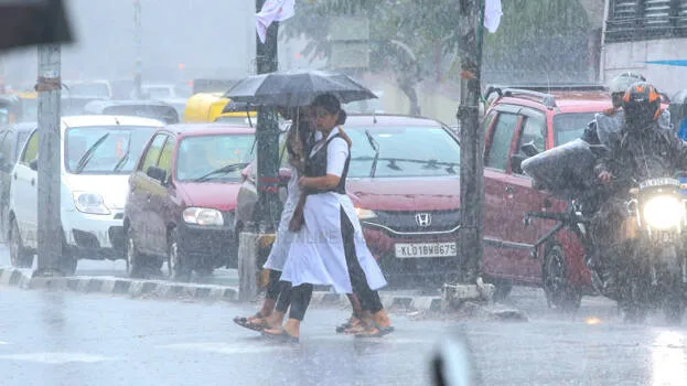 rain-alert