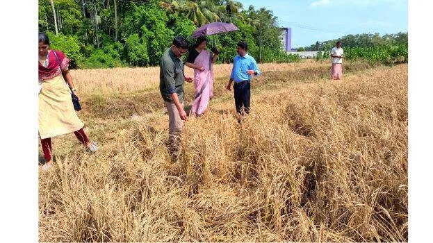 agri