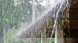 rain