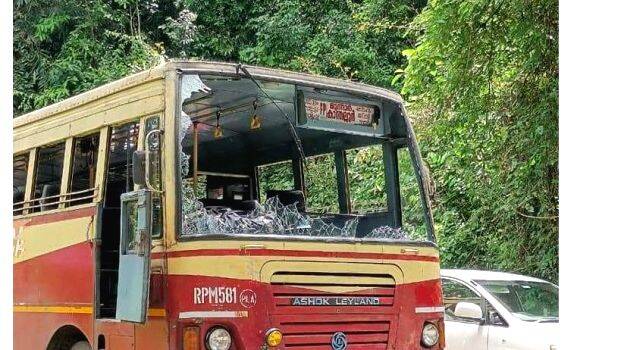 marachilla marachilla