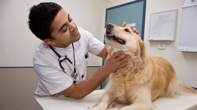 dr