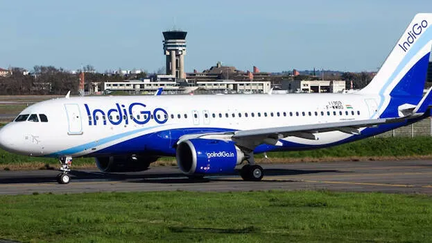 indigo
