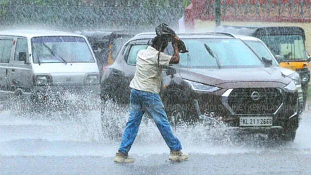rain