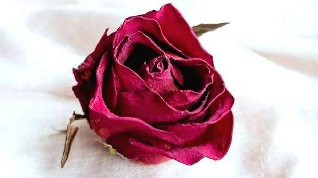 obit