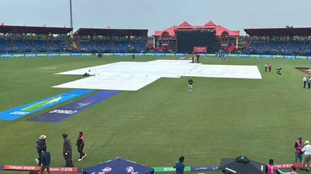 cricket
