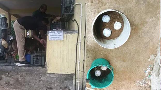 bombs
