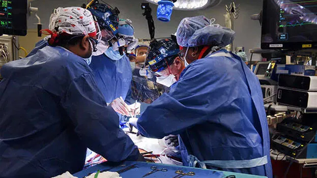 surgery