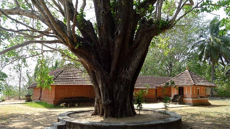 desamangalam desamangalam