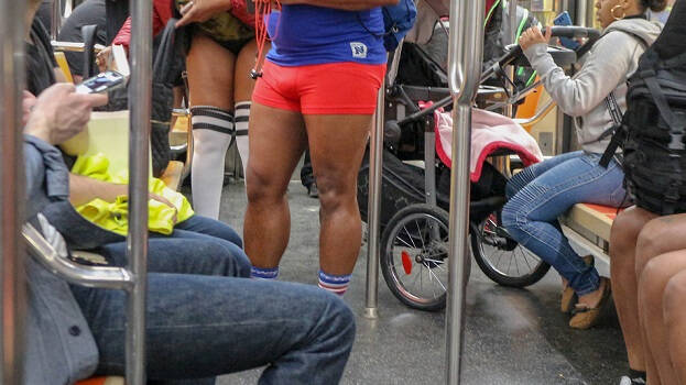 no-pants-day no-pants-day