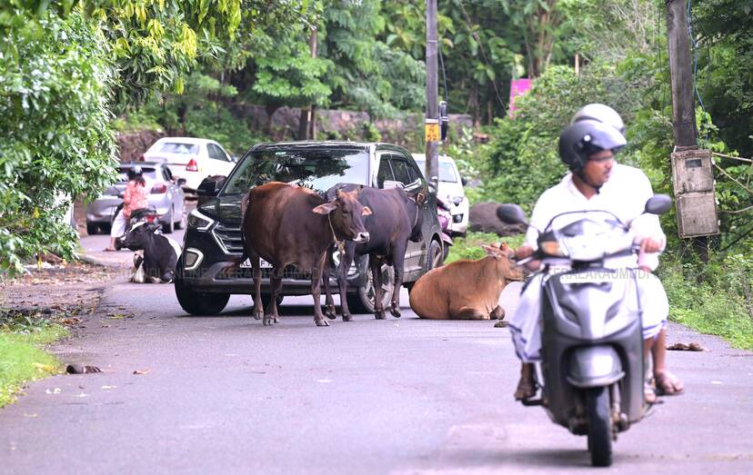 Kerala Kaumudi Photo Gallery