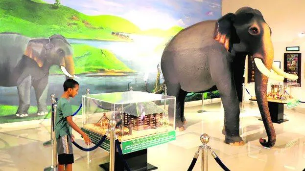 elephent
