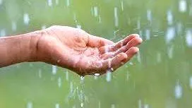 rain