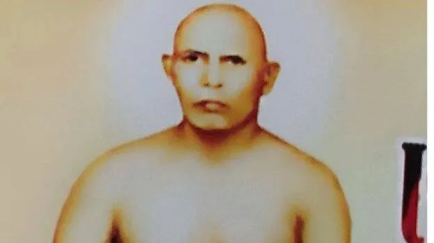 yogi