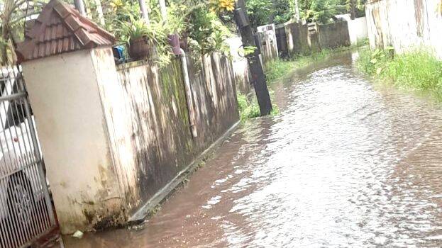 vallakattu vallakattu