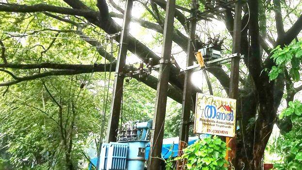 vakamaram- vakamaram-