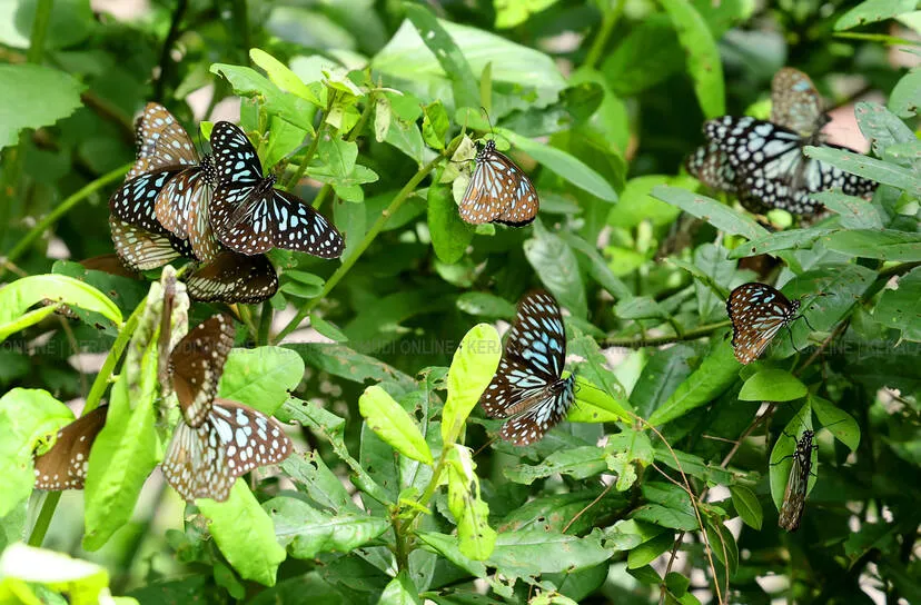 Kerala Kaumudi Photo Gallery