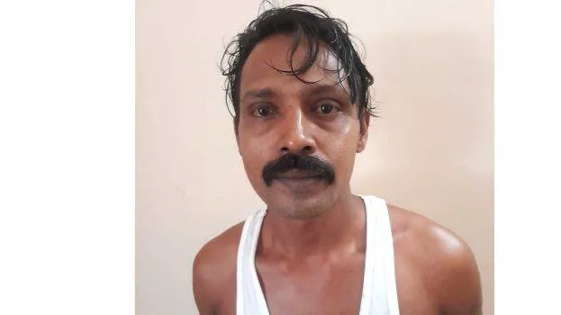sakkariya