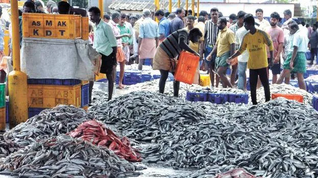 fish-market