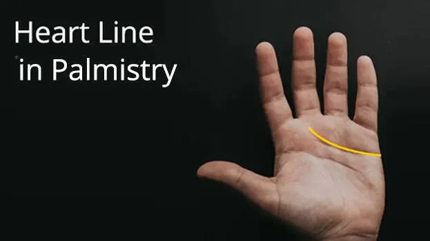 palmistry
