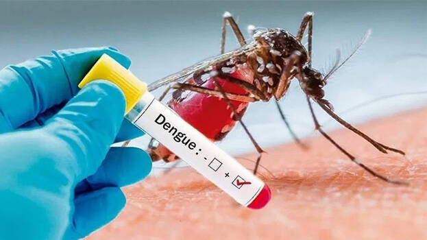 dengue-fever