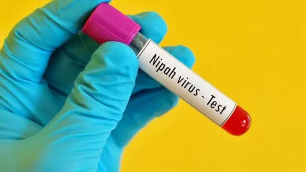 nipah