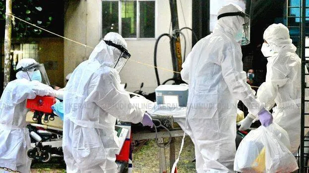 nipah-