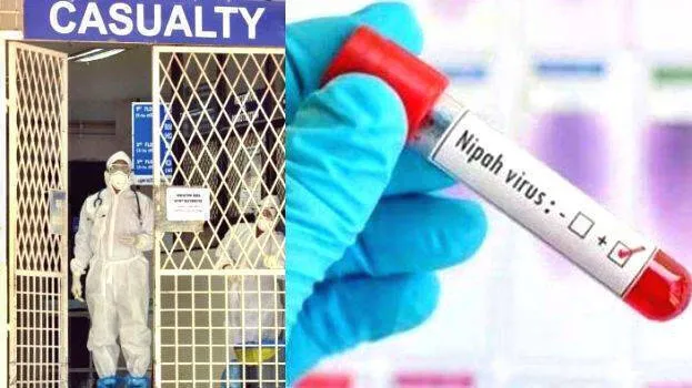 nipah