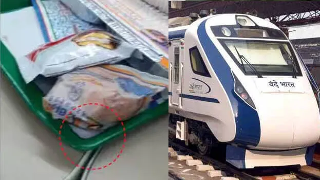 train