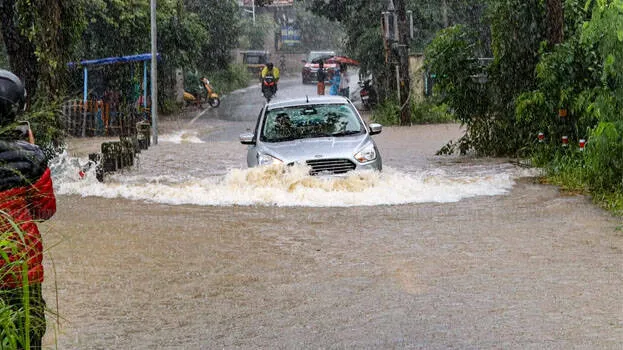 rain