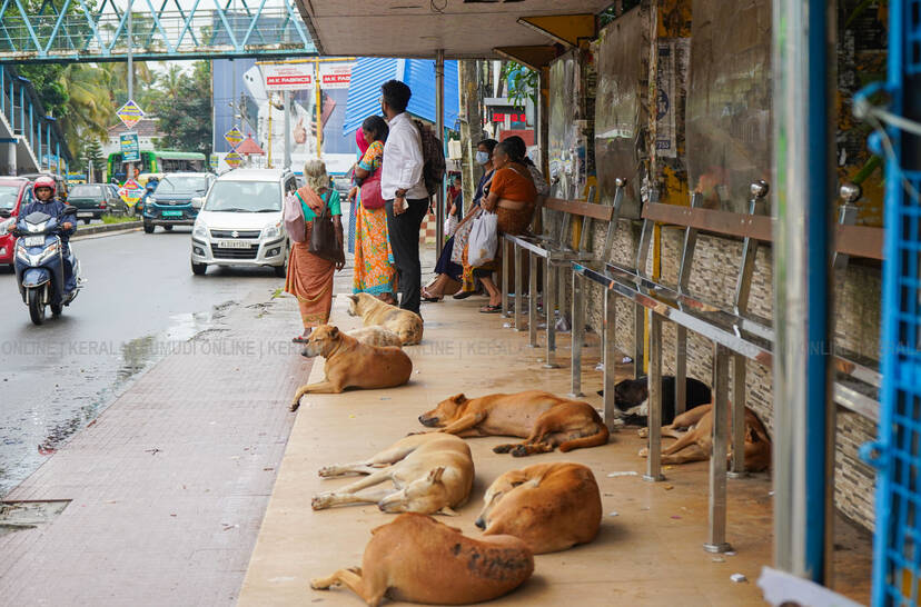 Kerala Kaumudi Photo Gallery