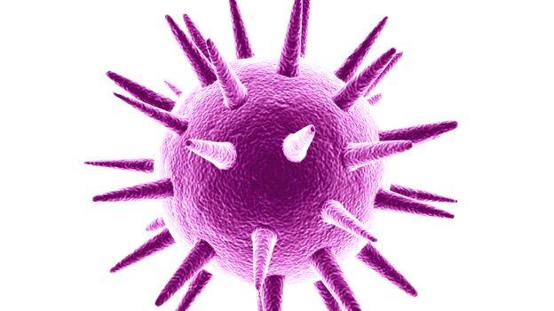 h1n1