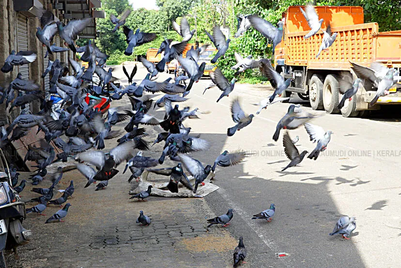 Kerala Kaumudi Photo Gallery