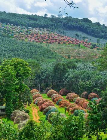 Kerala Kaumudi Photo Gallery