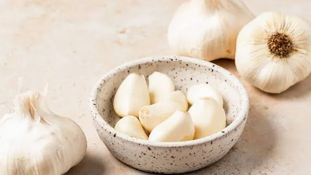 garlic