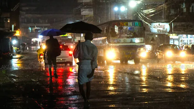 rain