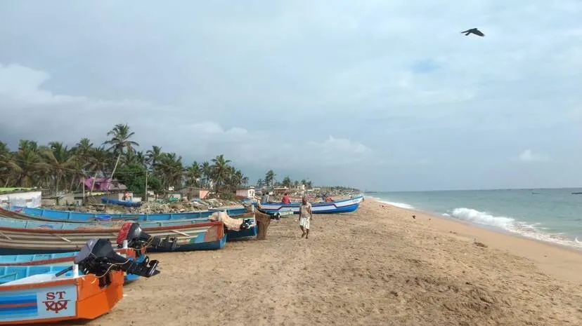 sea-shore