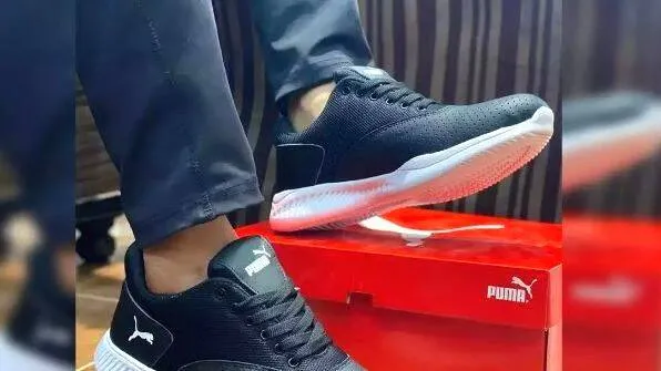 puma