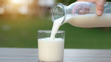 this-is-why-fssai--banned-use-of-a1-a2-milk-claims-how-to-choose-right-dairy-products