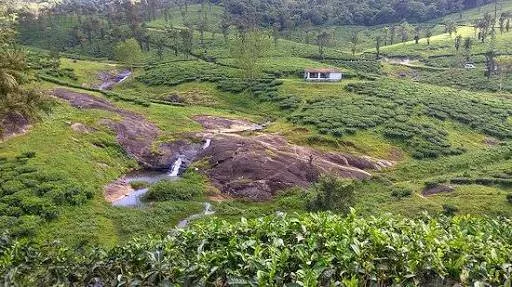 palakkad