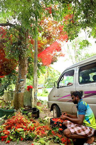 Kerala Kaumudi Photo Gallery