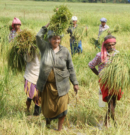 Kerala Kaumudi Photo Gallery